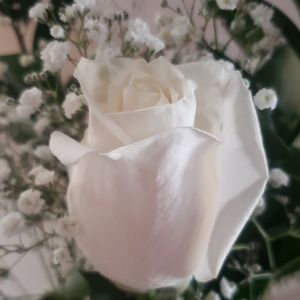 Meet your Posher, Kristin